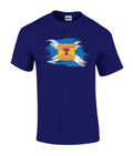 Funny Scottish Boston T-Party graphic t-shirt
